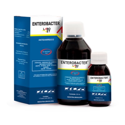 ENTEROBACTER-image