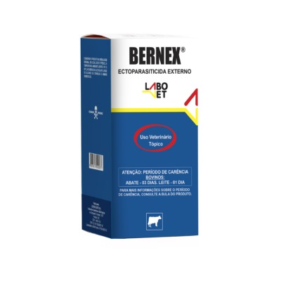 BERNEX-image