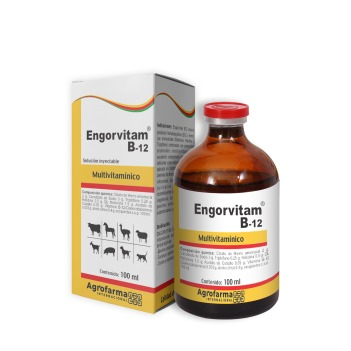 ENGORVITAM B12®-image